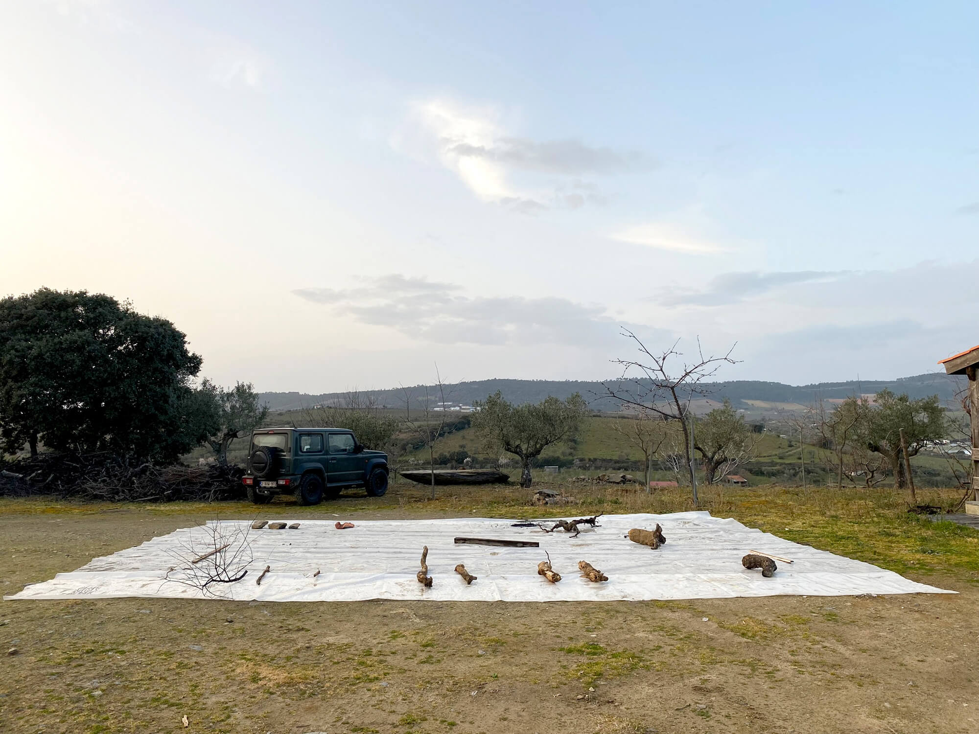 dulcineia santos studio fertile futures 1