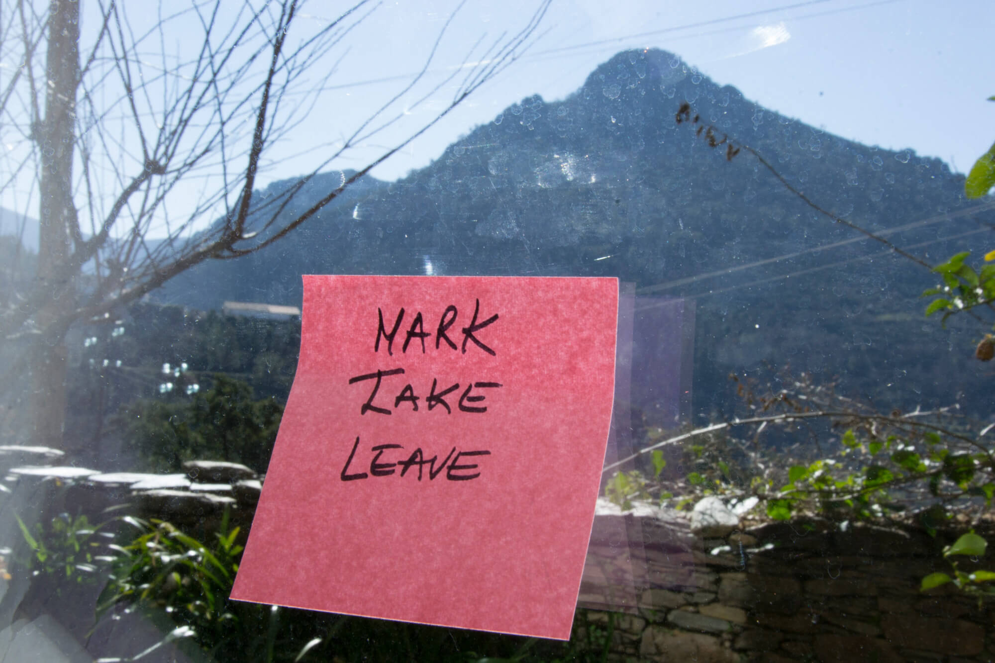 guida marques fertile futures 1